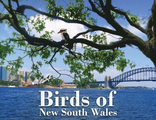 Dirk Kotze - Birds of New South Wales, Häftad
