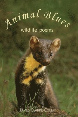 James Clarke-Coley - Animal Blues - Wildlife Poems, Häftad