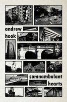 Andrew Hook - Somnambulant Hearts, Häftad