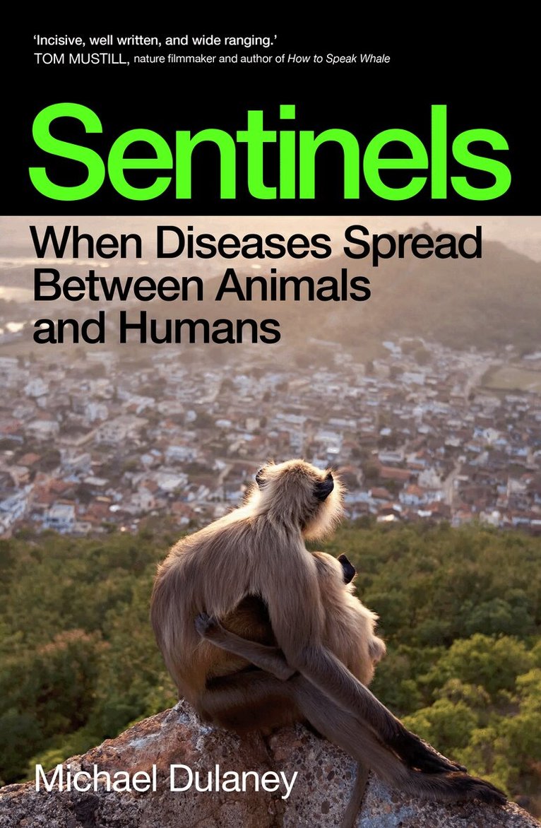 Michael Dulaney - Sentinels, Häftad