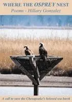 Hillary Gonzalez - Where The Osprey Nest, Häftad. Tillgänglighet: Lägg i varukorg