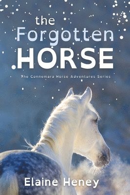 Elaine Heney - Forgotten Horse - Dyslexia Friendly, Häftad