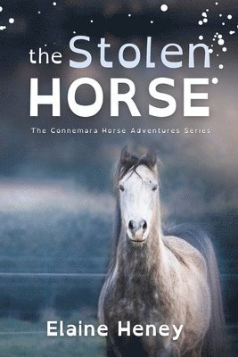 Elaine Heney - Stolen Horse - Dyslexia Friendly, Häftad