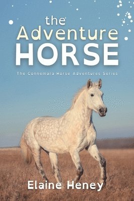 Elaine Heney - Adventure Horse - Dyslexia Friendly, Häftad
