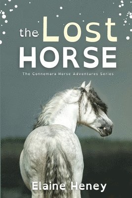 Elaine Heney - Lost Horse - Dyslexia Friendly, Häftad