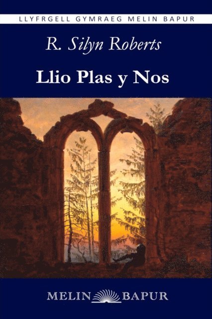 R. Silyn Roberts - Llio Plas y Nos (eLyfr), E-bok