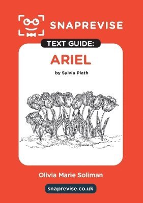 SnapRevise - SnapRevise Ariel Text Guide for English Literature, Häftad. Tillgänglighet: Lägg i varukorg