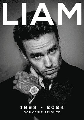Mirror Collection - Liam Payne, Häftad