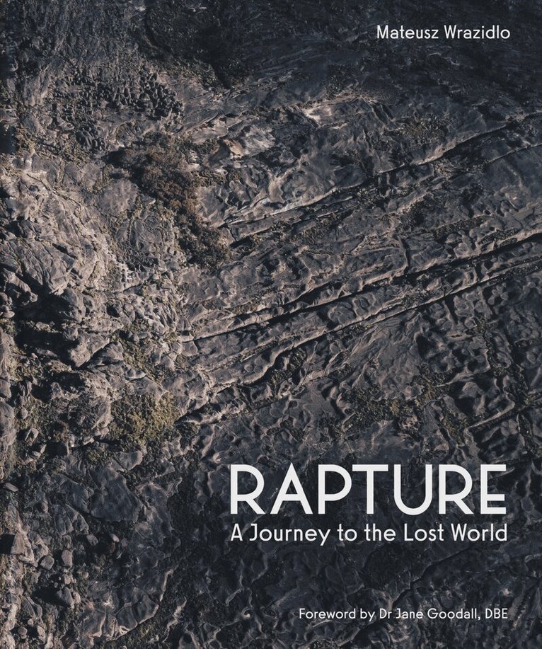 Mateusz Wrazidlo - Rapture, Inbunden
