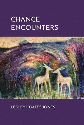 Lesley Coates Jones - Chance Encounters, Inbunden