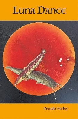 Brenda Hurley - Luna Dance, Häftad