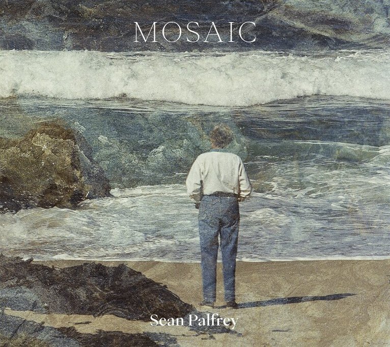 Sean Palfrey, Susanne Hillen - Mosaic, Häftad