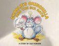 Charlie's Chinchilla and the Six Hats