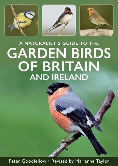 Peter Goodfellow - Naturalist's Guide to Garden Birds of Britain & Ireland, Häftad