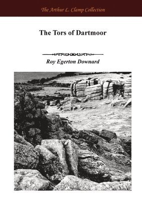 Tors of Dartmoor