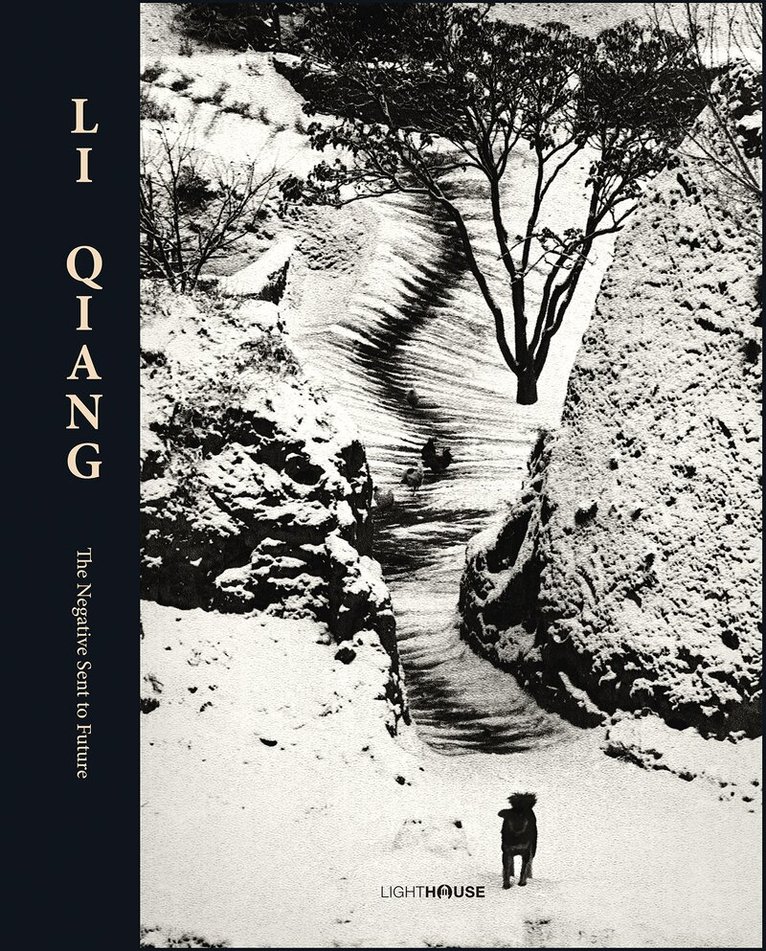 Li Qiang, Inbunden