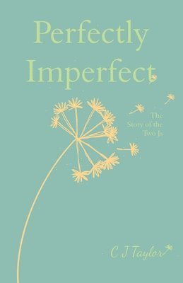 Perfectly imperfect