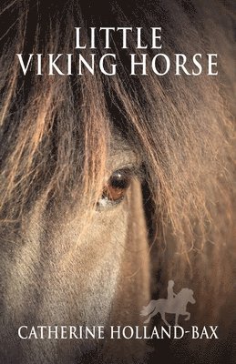 Little Viking Horse