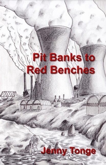 Jenny Tonge, Caroline Blomfield, Ted Smith - Pit Banks to Red Benches, E-bok
