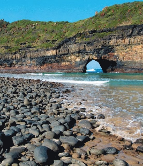 Michael Brett - Getaway Guide Eastern Cape & Wild Coast, E-bok