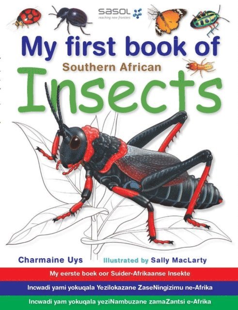 Charmaine Uys - My First Book of Southern African Insects, E-bok