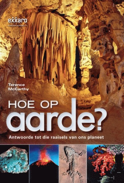 Terence McCarthy - Hoe op Aarde?, E-bok