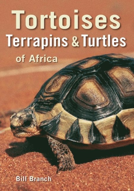 Bill Branch - Tortoises, Terrapins & Turtles of Africa, E-bok