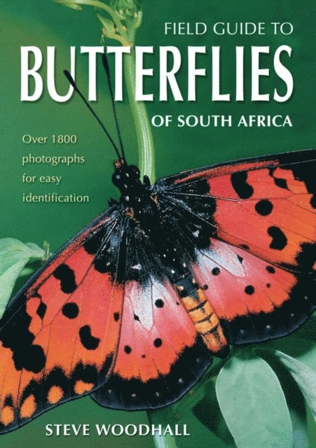 Steve Woodhall - Field Guide to Butterflies of South Africa, E-bok