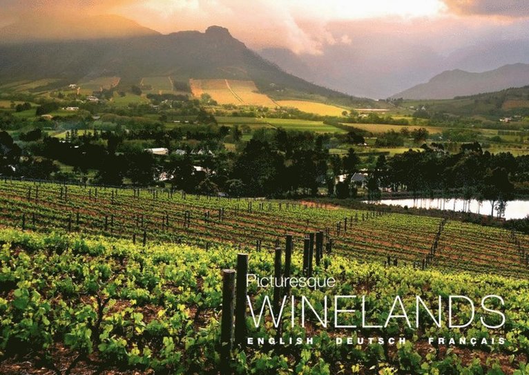 Tanya Farber - Picturesque Winelands, E-bok