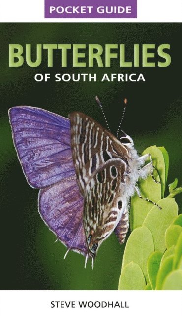 Steve Woodhall - Pocket Guide Butterflies of South Africa, E-bok