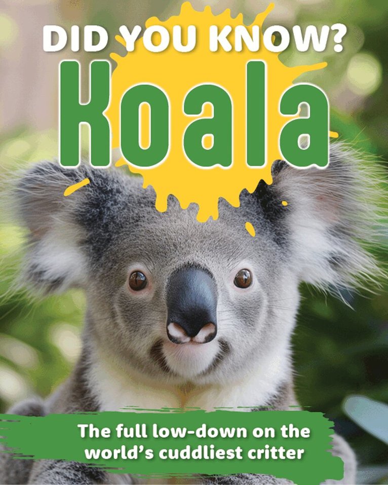 New Holland Publishers - Did You Know? Koala, Inbunden