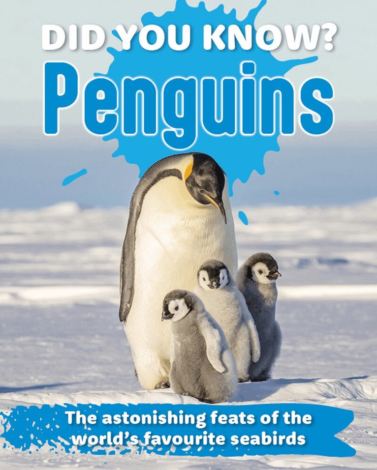 New Holland Publishers - Did You Know? Penguins, Inbunden