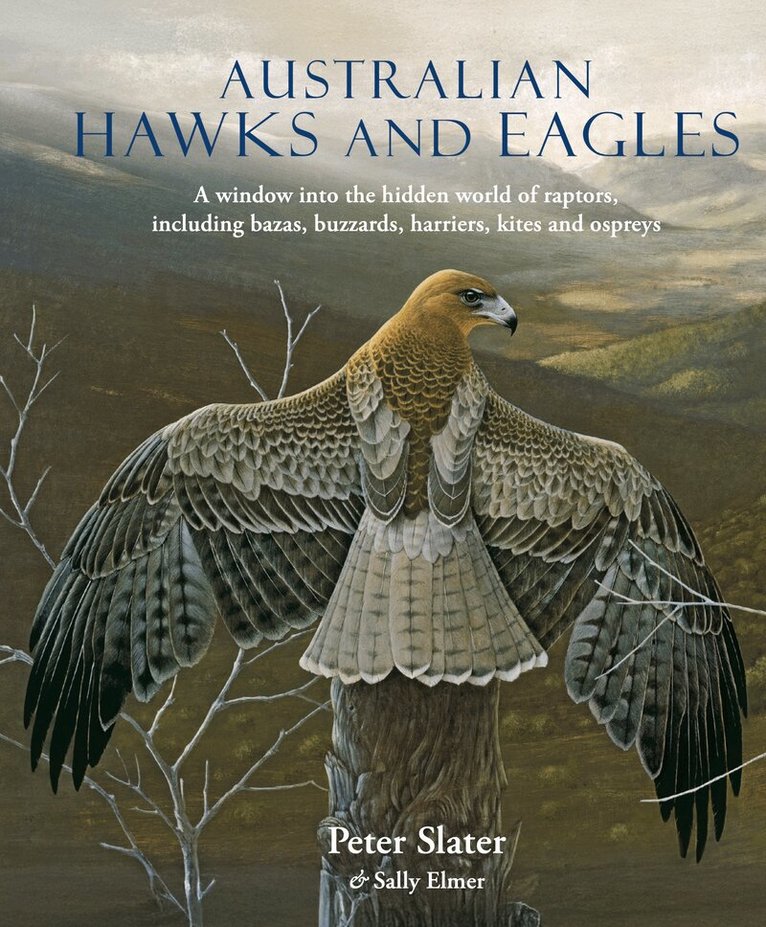 Peter Slater, Sally Elmer - Australian Hawks and Eagles, Inbunden. Tillgänglighet: Lägg i varukorg