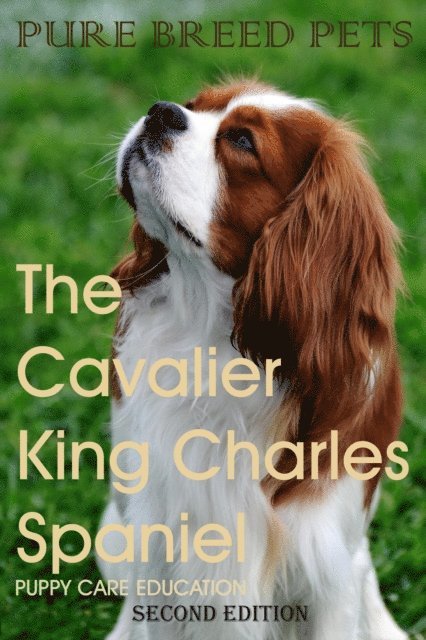 Puppy Care Education - Cavalier King Charles Spaniel 2ND Edition (Pure Breed Pets), E-bok. Tillgänglighet: Lägg i varukorg