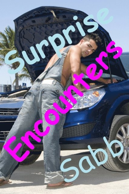 Sabb - Surprise Encounters, E-bok