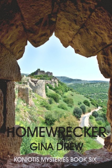 Gina Drew - Homewrecker, E-bok