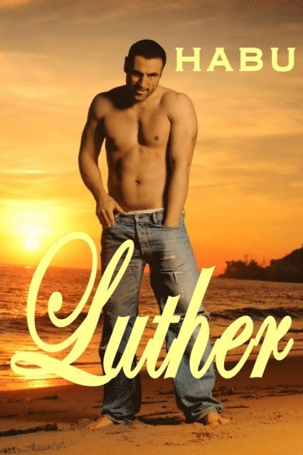 Habu - Luther, E-bok