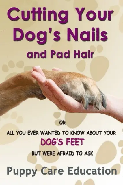 Puppy Care Education - Cutting Your Dog's Nails and Pad Hair, E-bok. Tillgänglighet: Lägg i varukorg