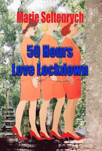 Marie Seltenrych - 50 Hours, E-bok