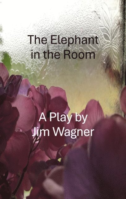 Jim Wagner - Elephant in the Room, E-bok. Tillgänglighet: Lägg i varukorg