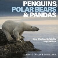 Wiebke Finkler - Penguins, Polar Bears & Pandas, Häftad