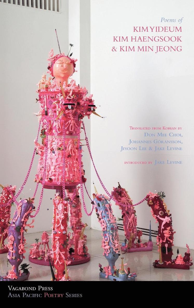 Min-Jeong Kim, Yi-Deum Kim - Poems of Kim Yideum, Kim Haengsook & Kim Min Jeong, Häftad