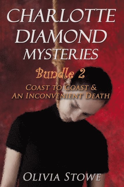 Olivia Stowe - Charlotte Diamond Mysteries Bundle 2, E-bok