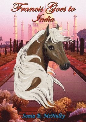 Sonia McNulty - Francis Goes to India, Häftad