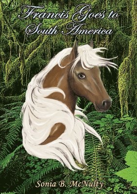 Sonia McNulty - Francis Goes to South America, Häftad