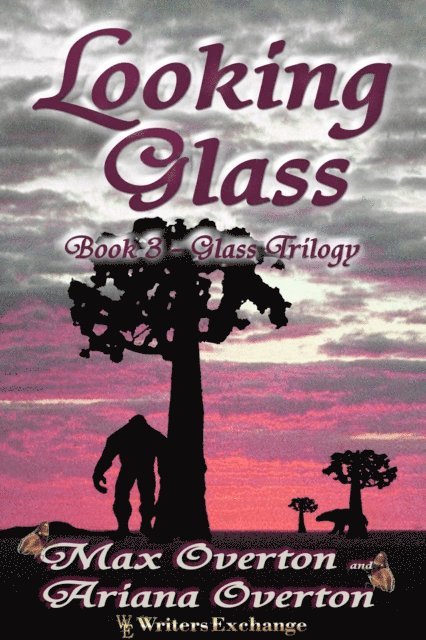Max Overton - Looking Glass, E-bok