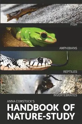 Anna Comstock - Handbook Of Nature Study in Color - Fish, Reptiles, Amphibians, Invertebrates, Häftad. Tillgänglighet: Lägg i varukorg