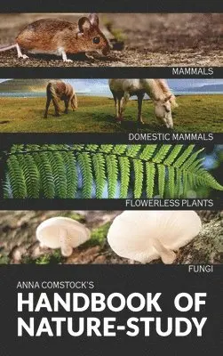 Anna Comstock - Handbook Of Nature Study in Color - Mammals and Flowerless Plants, Inbunden. Tillgänglighet: Lägg i varukorg