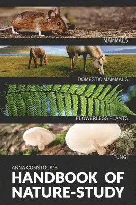 Anna Comstock - Handbook Of Nature Study in Color - Mammals and Flowerless Plants, Häftad. Tillgänglighet: Lägg i varukorg