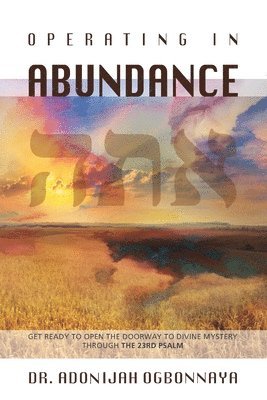 Adonijah Ogbonnaya - Operating in Abundance, Häftad
